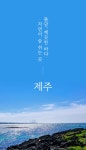 주식회사 맘푸드 올리브실버케어 | 제주 올리브콤부차 샴푸의 탈모케어 솔루션! by 한국올리브 농업회사법인 주식회사 | wadiz 올리브로 올리는 두피텐션! 제주 올리브콤부차...