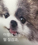 주식회사 풍산피엔시 | 생생한 질감ㅣ한 땀 한 땀 장인 특수제작, 살아있는 댕댕퍼니쳐 by 주식회사 한국엔시산업