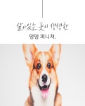 주식회사 풍산피엔시 | 생생한 질감ㅣ한 땀 한 땀 장인 특수제작, 살아있는 댕댕퍼니쳐 by 주식회사 한국엔시산업