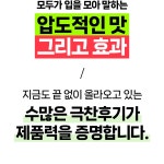 주식회사 제로앱솔루 | 더티푸드 이젠 맘껏드세요 by 주식회사 제로앱솔루 | wadiz [애사비... 더티푸드 이젠 맘껏드세요 by 주식회사 제로앱솔루 | 와디즈