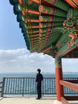 소중한 사람에게 특별한 선물, 대익보이차 티백세트 어떠세요? by 대익인터내셔날코리아 주식회사