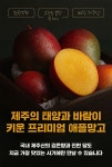푸드윗미 | 올해 마지막 수확! 망고는 원래 이렇게 달아야 합니다 프리미엄 애플망고 by 푸드윗미