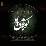 곡 정보>멜론 Sokr - Javad Soleymani & Torang Soleymani