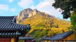 전남이엔지유 | “단풍의 진수 느낄 수 있다”… 전남이 추천한 가을 힐링여행지 4곳 | 위키트리 “단풍의 진수 느낄 수 있다”… 전남이 추천한 가을...