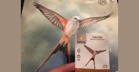 BoardGameGeek Wingspan