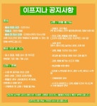 이프지나 컷팅 데님 숏 팬츠 / 반바지 데미지 청 흑청 기본
