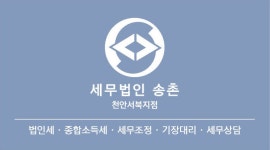 세무법인송촌불당지점 | 세무법인송촌천안서북지점 직무리포트 | 2026년 합격전략, 역량체크, 멘토링 등 - 사람인
