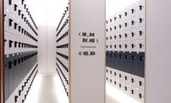 스픽스건강한스픽스지점 | (주)스픽스 스포츠지점 2026년 기업정보 | 직원수, 근무환경, 복리후생 등 - 사람인 (주)스픽스 스포츠지점 2026년 기업정보 | 직원수, 매출액...