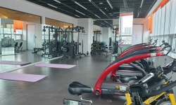 주식회사 브이에스신비 | 주식회사 브이에스엘 2026년 기업정보 | 직원수, 근무환경, 복리후생 등 - 사람인 주식회사 브이에스엘 2026년 기업정보 | 직원수, 매출액...