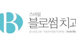 스마일블로썸치과의원 2026년 기업정보 | 직원수, 근무환경, 복리후생 등 - 사람인 스마일블로썸치과의원 2026년 기업정보 | 직원수, 매출액...