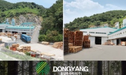 동양특수목재(주)(1종) | 동양특수목재(주) 2026년 기업정보 | 직원수, 근무환경, 복리후생 등 - 사람인 동양특수목재(주) 2026년 기업정보 | 직원수, 매출액, 복리후생 등...