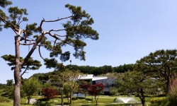 유창개발(주) 2026년 기업정보 | 직원수, 근무환경, 복리후생 등 - 사람인 유창개발(주) 2026년 기업정보 | 직원수, 매출액, 복리후생 등 - 사람인
