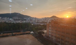 주식회사 제니스해운항공 | 엘리트해운항공주식회사 2026년 기업정보 | 직원수, 근무환경, 복리후생 등 - 사람인 엘리트해운항공주식회사 2026년 기업정보 | 직원수...