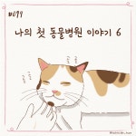 수의테크니션툰 - 웹툰 - 비마이펫