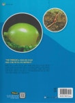 땅속의 농사꾼 지렁이(세이펜 적용) | 꿈꾸는 초록이 - 교보문고