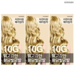 재호당자연약 | 자연이랑 헤어칼라 염색약 10G 밝고강한황금빛금발 - 에누리 가격비교
