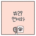 와초건강카페 | 언제와 - 동동카페 - 비마이펫