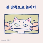냥이대장김집사 | 76화 집사라면 한번쯤 해보는 그것 #2 - 냥냥툰 - 비마이펫