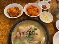 고성곱배인삼거류판매장 | 토속촌삼계탕 - 경남고성 삼계탕, 인삼주 맛집 - 다이닝코드
