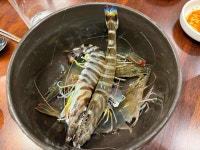 석장철따라물회 | 철따라자연산 - 대치 횟집, 물회 맛집 - 다이닝코드