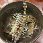 석장철따라물회 | 철따라자연산 - 대치 횟집, 물회 맛집 - 다이닝코드