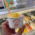 제멜리젤라또GEMELLIGELATO | 제멜리젤라또 - 송리단길 젤라또, 아이스크림 맛집 - 다이닝코드