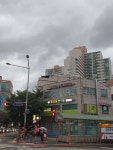 맑은숲한사랑한의원 후기/가격/비용 (2026) | 모두닥