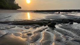 Fundraiser for Rick Earley by John Bueche : Beach Wheelchair Fundraiser Donate to Beach Wheelchair Fundraiser, organized by John...