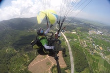 Foto aus Naver-Suchergebnissen 6