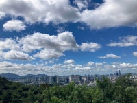 블라인드 | 헬스·다이어트: 출근전 로잉 헬스·다이어트: 출근전 로잉