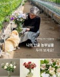 은성꽃광고기획 | 블라인드 | 블라블라: 꽃광고인데 블라블라: 꽃광고인데