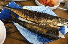 블라인드 | 블라블라: 오늘의 퀴즈 블라블라: 오늘의 퀴즈