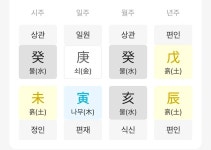 블라인드 | 타로·운세·사주·신점: 사주봐주세요 타로·운세·사주·신점: 사주봐주세요