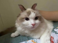 블라인드 | 블라블라: 우리 시아도 블라블라: 우리 시아도