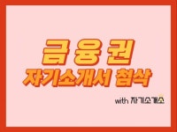 금융권 자소서 - 크몽 서비스 검색