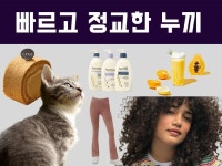회화 - 크몽 포트폴리오 검색