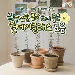 원데이클래스 페이스북 SNS 광고이미지, 블로그·카페 디자인 포트폴리오 - 크몽