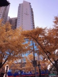 양광헤어샵 | 톈수이 호텔 양광 호텔 - 스카이스캐너