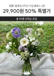 앵콜! 월계점 단독 3주년 스페셜 클래스 2탄 : 화병꽂이 (50% 할인)