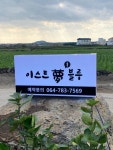 캠핏 | 이스트몽블루카라반캠핑 | 이스트몽블루_애견동반가능