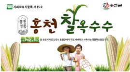 광고정보센터 PRINT광고 :: 홍천명품 홍천 찰옥수수