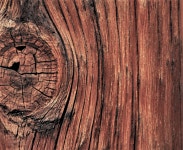 red oak | wood