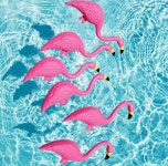 Flamingo fan | beautiful, pink 그리고 blue