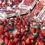 @orientalementexotic | fashion, red 그리고 foodies @orientalementexotic | fashion, red 그리고 foodies