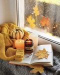 candles | autumn 그리고 candles