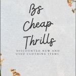 B’scheapthrills' Closet (@brenna_decillis) | Poshmark B’scheapthrills' Closet