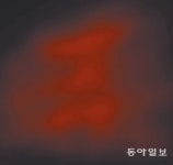 보이는 것만이 사진의 전부가 아니다|동아일보 보이는 것만이 사진의 전부가 아니다
