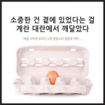 몸뚱이영양집합소 | 매일 식탁에 오르던 고른 영양소의 집합체 ‘계란’…|동아일보 매일 식탁에 오르던 고른 영양소의 집합체 ‘계란’…