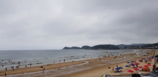 태안 만리포 해수욕장서 30대 외국인 물에 빠져 숨져|동아일보 태안 만리포 해수욕장서 30대 외국인 물에 빠져 숨져