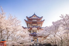 우시 서울 항공권 예약 | 우시에서 서울 | 트립닷컴